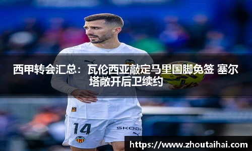 西甲转会汇总：瓦伦西亚敲定马里国脚免签 塞尔塔敞开后卫续约